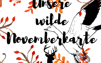 Wild im November