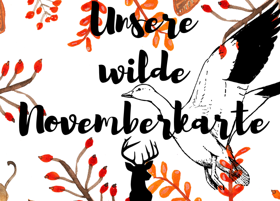 Wild im November