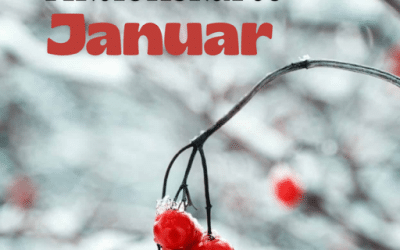 Januar 2016 Aktionskarte