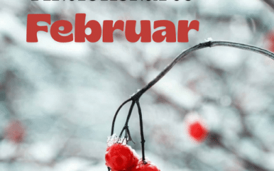 Februar 2026 Aktionskarte