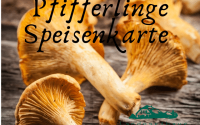 Neue Karte Pfifferlinge