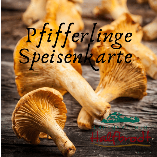 Neue Karte Pfifferlinge